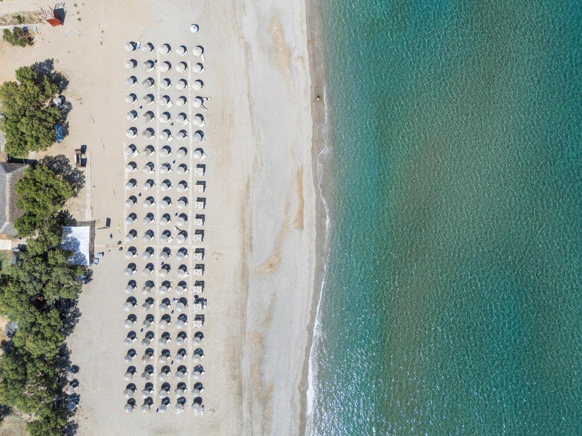 Hotel Iosifina, 80 Metres From Episkopi Beach! Dhramia Bagian luar foto